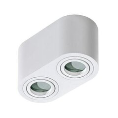 Azzardo потолочный светильник Brant 2 White цена и информация | Потолочные светильники | pigu.lt