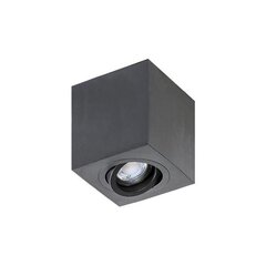 Azzardo потолочный светильник Brant Black цена и информация | Потолочные светильники | pigu.lt