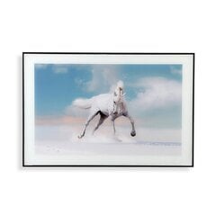 Картина DKD Home Decor, Лошадь (50 x 3 x 150 cm) (2 шт.) цена и информация | Репродукции, картины | pigu.lt