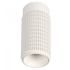 Azzardo потолочный светильник Avica White AZ3122 цена и информация | Потолочные светильники | pigu.lt