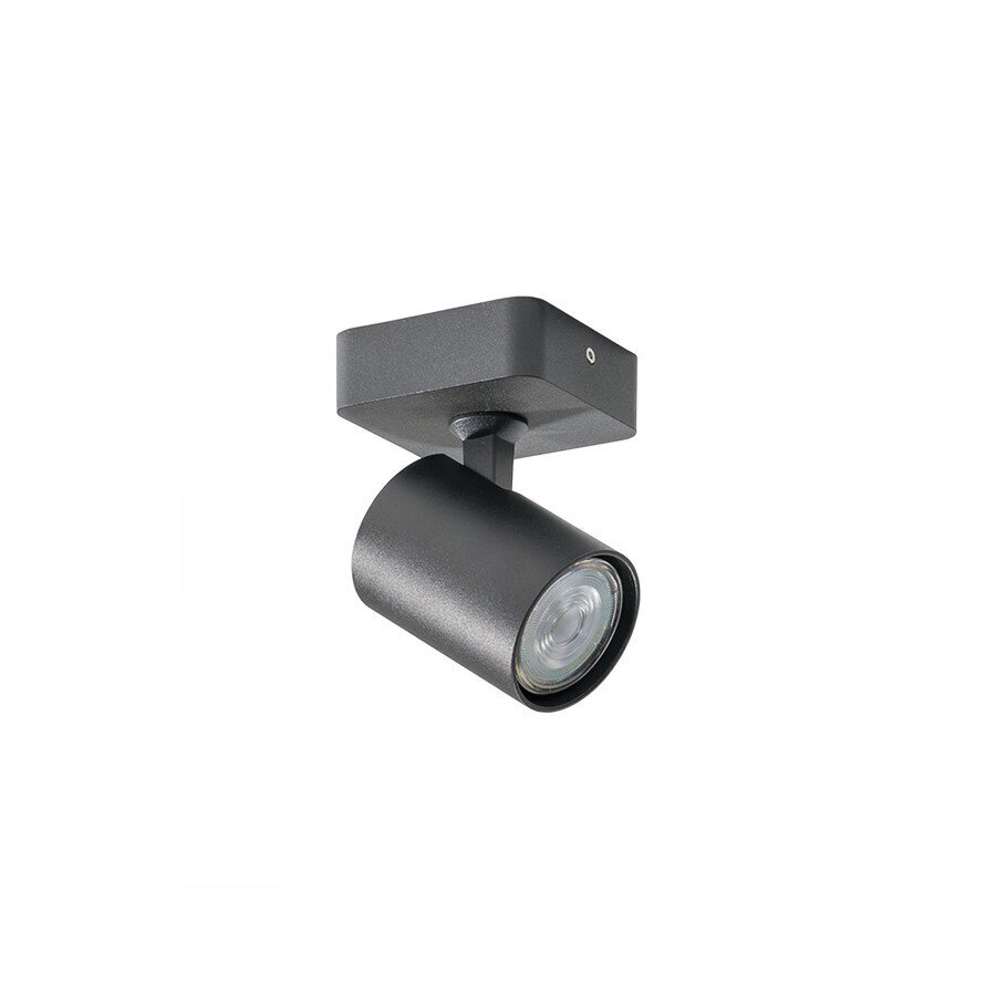 Azzardo lubinis šviestuvas Exo Black 1 AZ3193 kaina ir informacija | Lubiniai šviestuvai | pigu.lt