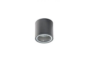 Azzardo lubinis šviestuvas Joe Tube Grey AZ3313 kaina ir informacija | Lubiniai šviestuvai | pigu.lt