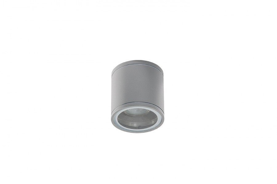 Azzardo lubinis šviestuvas Joe Tube Bright Grey AZ3316 kaina ir informacija | Lubiniai šviestuvai | pigu.lt