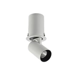Azzardo светильник Luna AZ3396 цена и информация | Потолочные светильники | pigu.lt