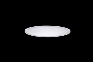 Azzardo lubinis šviestuvas Cream Smart 40 Top AZ3534 kaina ir informacija | Lubiniai šviestuvai | pigu.lt