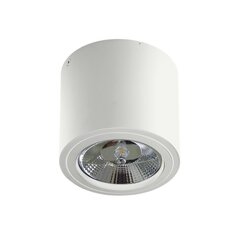 Azzardo įmontuojamas šviestuvas Alix AZ3541 kaina ir informacija | Įmontuojami šviestuvai, LED panelės | pigu.lt