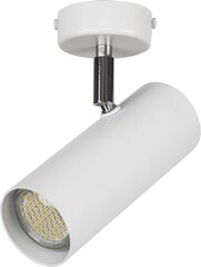 Потолочный светильник OKO 32592 цена и информация | Потолочные светильники | pigu.lt