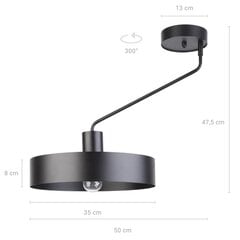 Потолочный светильник JUMBO 31529 цена и информация | Люстры | pigu.lt