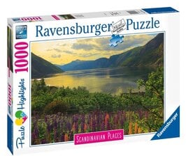 Пазл Ravensburger Fjord in Norway 16743, 1000 деталей цена и информация | Пазлы | pigu.lt