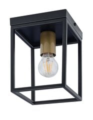 Lubinis šviestuvas Vigo 32223 kaina ir informacija | Lubiniai šviestuvai | pigu.lt