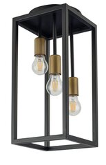 Lubinis šviestuvas Vigo 32225 kaina ir informacija | Lubiniai šviestuvai | pigu.lt