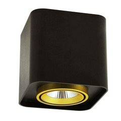 Светодиодный светильник для накладного монтажа XENO 15W черный квадрат цена и информация | Потолочные светильники | pigu.lt