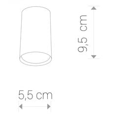 Nowodvorski lubinis šviestuvas Eye Silver S 5257 kaina ir informacija | Lubiniai šviestuvai | pigu.lt