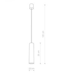 Nowodvorski Lighting подвесной светильник Eye Silver I M 5400 цена и информация | Подвесной светильник | pigu.lt