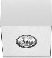 Nowodvorski lubinis šviestuvas Carson White-Silver I 5573 kaina ir informacija | Lubiniai šviestuvai | pigu.lt