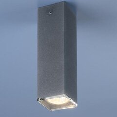 Nowodvorski Lighting потолочный светильник Bryce Concrete S 5718 цена и информация | Потолочные светильники | pigu.lt