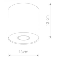 Nowodvorski Lighting потолочный светильник Point 6001 цена и информация | Потолочные светильники | pigu.lt