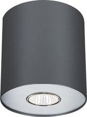 Nowodvorski Lighting потолочный светильник Point 6007 цена и информация | Потолочные светильники | pigu.lt