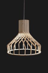 Nowodvorski Lighting подвесной светильник Bio I 6333 цена и информация | Подвесной светильник | pigu.lt