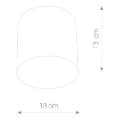 Nowodvorski Lighting потолочный светильник Point 6526 цена и информация | Потолочные светильники | pigu.lt