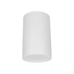 Nowodvorski Lighting потолочный светильник Point 6528 цена и информация | Потолочные светильники | pigu.lt