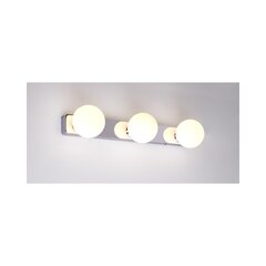 Nowodvorski Lighting настенный светильник Brazos 6951 цена и информация | Настенные светильники | pigu.lt