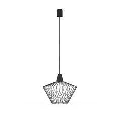 Nowodvorski Lighting подвесной светильник 8858 Wave Black S цена и информация | Подвесной светильник | pigu.lt