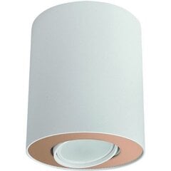 Nowodvorski Lighting потолочный светильник 8896 Set White/Gold цена и информация | Потолочные светильники | pigu.lt
