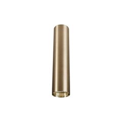 Nowodvorski Lighting потолочный светильник Eye Brass M 8912 цена и информация | Потолочные светильники | pigu.lt