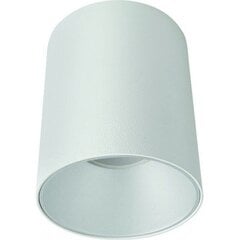 Nowodvorski Lighting потолочный светильник Eye Tone White/White 8925 цена и информация | Потолочные светильники | pigu.lt