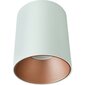 Nowodvorski lubinis šviestuvas Eye Tone White/Gold 8926 kaina ir informacija | Lubiniai šviestuvai | pigu.lt