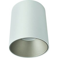Nowodvorski Lighting потолочный светильник Eye Tone White/Silver 8928 цена и информация | Потолочные светильники | pigu.lt