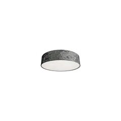 Nowodvorski Lighting потолочный светильник 8956 Crogo Grey IV цена и информация | Потолочные светильники | pigu.lt