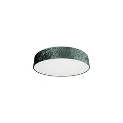 Nowodvorski Lighting потолочный светильник 8961 Croco Grey IX цена и информация | Потолочные светильники | pigu.lt