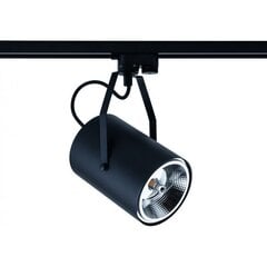 Nowodvorski Lighting светильник 9018 цена и информация | Потолочные светильники | pigu.lt