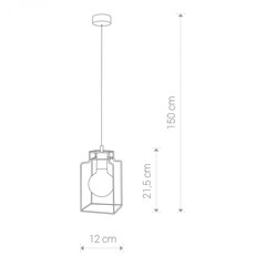 Nowodvorski Lighting подвесной светильник Fiord 9668 цена и информация | Люстры | pigu.lt