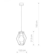 Nowodvorski Lighting подвесной светильник Fiord 9670 цена и информация | Подвесной светильник | pigu.lt