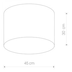 Nowodvorski Lighting потолочная люстра Cameron Gray III 9683 цена и информация | Nowodworski Мебель и домашний интерьер | pigu.lt