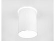 Nowodvorski lubinis šviestuvas Cameron White I 9685 kaina ir informacija | Lubiniai šviestuvai | pigu.lt