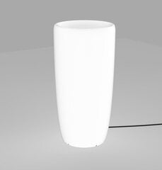 Nowodvorski Lighting настольный светильник Flowerpot S 9712 цена и информация | Настольные светильники | pigu.lt