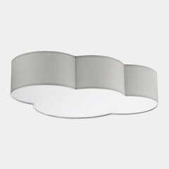 TK Lighting детский потолочный светильник Cloud 3145 цена и информация | Потолочные светильники | pigu.lt