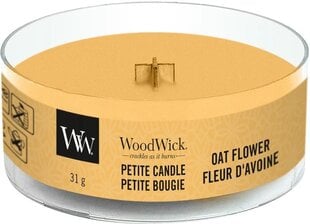 Kvapioji žvakė WoodWick Oat Flower, 31 g kaina ir informacija | Žvakidės, žvakės | pigu.lt