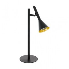 Настольная лампа Eglo 97805. цена и информация | Настольные светильники | pigu.lt