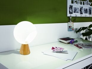 Eglo настольная лампа Mamblas цена и информация | Настольные светильники | pigu.lt