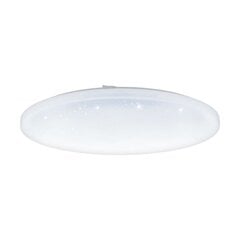 Потолочный светильник Eglo 98448 цена и информация | Потолочные светильники | pigu.lt