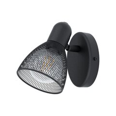 Настенный светильник Eglo Carovigno 98621 цена и информация | Настенные светильники | pigu.lt