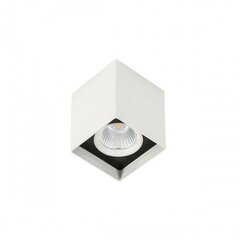 Потолочный светильник Italux Alden SLC78002/12W цена и информация | Потолочные светильники | pigu.lt