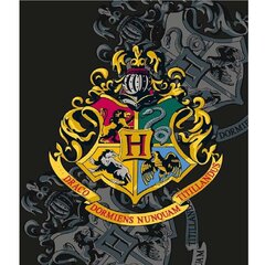 Плед для детей Harry Potter, 130x170 см цена и информация | Покрывала, пледы | pigu.lt