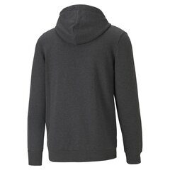 Mужская толстовка Puma Big Logo Hoodie 586686074063697320048 цена и информация | Мужские толстовки | pigu.lt