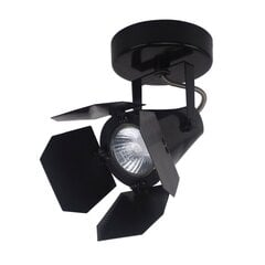 Потолочный светильник Italux Milton FH30921B цена и информация | Потолочные светильники | pigu.lt